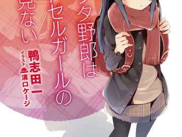 Descargar Seishun Buta Yarou wa Bunny Girl Senpai no Yume o Minai Manga PDF MEGA